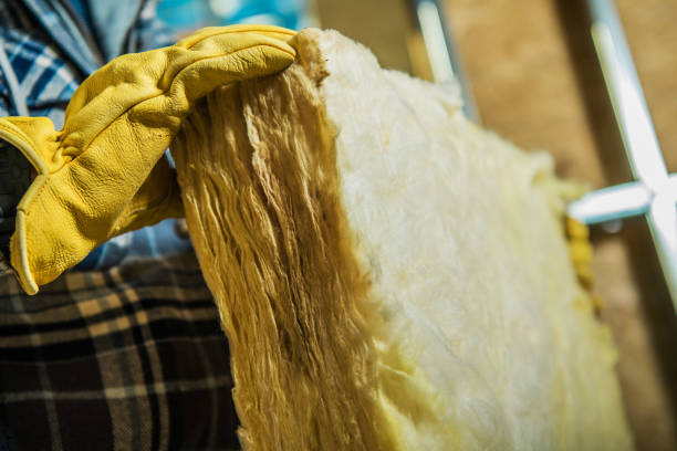 Best Eco-Friendly Insulation in Lake Crystal, MN