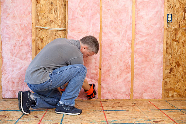 Best Spray Foam Insulation in Lake Crystal, MN